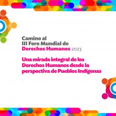 Camino al Foro Mundial de DDHH 2023: Una mirada integral de los Derechos Humanos desde la perspectiva de Pueblos Indígenas