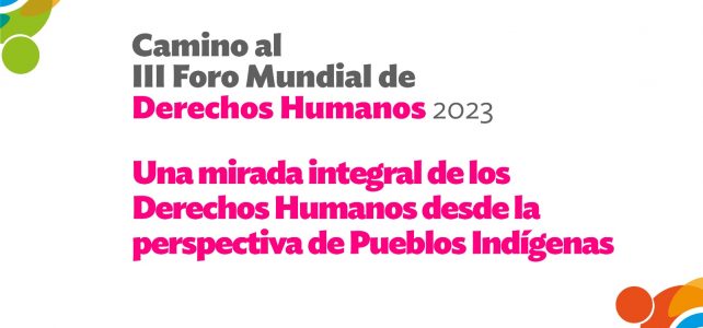 Camino al Foro Mundial de DDHH 2023: Una mirada integral de los Derechos Humanos desde la perspectiva de Pueblos Indígenas