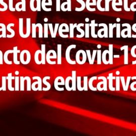 Encuesta de la Secretaría de Políticas Universitarias sobre el impacto del Covid-19 en las rutinas educativas