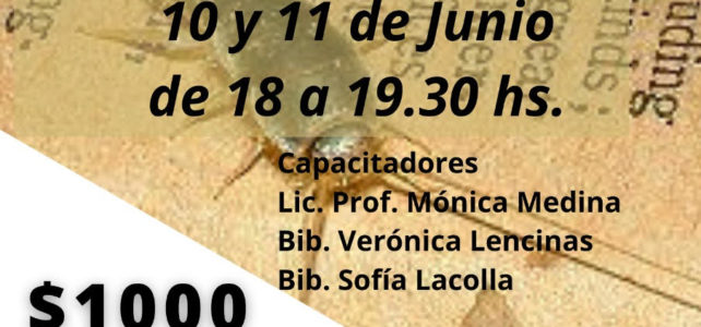 Insectos implicados en el deterioro de material documental. Identificación, control y técnicas de desinsectación