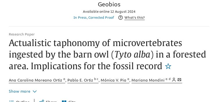 Tafonomía actualística de microvertebrados ingeridos por la lechuza de los campanarios (Tyto alba) en un área boscosa y sus implicancias para el registro fósil.