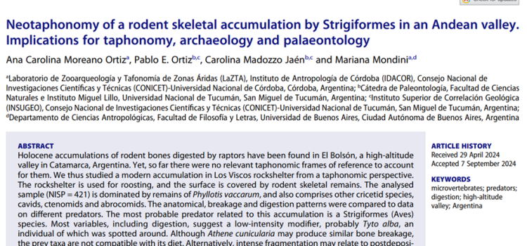 Neotafonomía de una acumulación de restos esqueletales de roedores por Estrigiformes en un valle Andino. Implicancias para la tafonomía, la arqueología y la paleontología